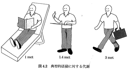 典型的活動における代謝